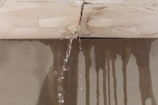 Professional Burst Pipe Cleanup technician working in Pruden, TN